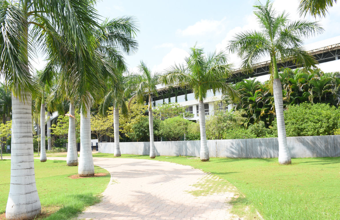 The green campus at Lakshmi School, Madurai